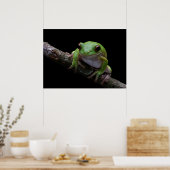 Froschposter Poster (Küche)