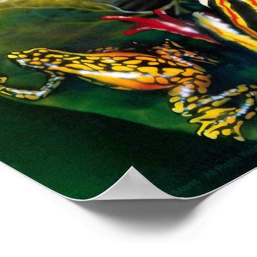 Froschposter Poster (Ecke)