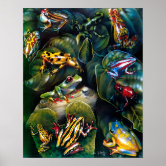 Froschposter Poster
