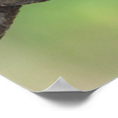 Froschposter Poster (Ecke)