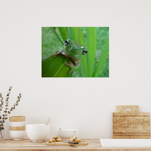 Froschposter Poster (Küche)