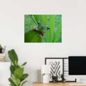 Froschposter Poster (Heimbüro)