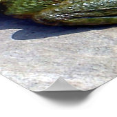 Froschposter Poster (Ecke)
