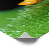 Froschposter Poster (Ecke)