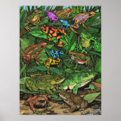 Froschposter Poster (Vorne)