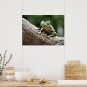 Froschposter Poster (Küche)