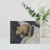 Froschpostkarte Postkarte (Stehend Vorderseite)