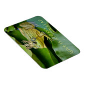 Froschprinz auf Lily Pad Magnet (Rechte Seite)