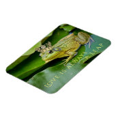 Froschprinz auf Lily Pad Magnet (Linke Seite)
