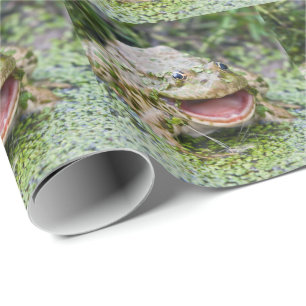 Froschprinz-Geschenkpapier Geschenkpapier