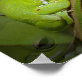 Froschreflektionen drucken poster (Ecke)