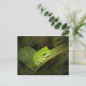 Froschreflektionen Postkarte (Stehend Vorderseite)