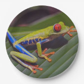 Froschrei-Foto Pappteller (Vorderseite)