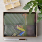 Froschrei-Foto Seidenpapier (Geschenk)