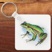 Froschschlüssel Schlüsselanhänger (Vorderseite)