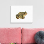 Froschschschatten Leinwanddruck (Insitu (Wohnzimmer))