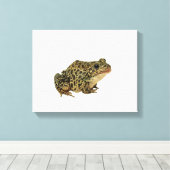 Froschschschatten Leinwanddruck (Insitu (Holzboden))