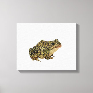 Froschschschatten Leinwanddruck