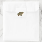 Froschschschatten Quadratischer Aufkleber (Tasche)