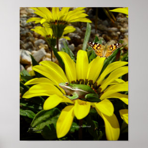 Froschschschmetterling-Blume Poster