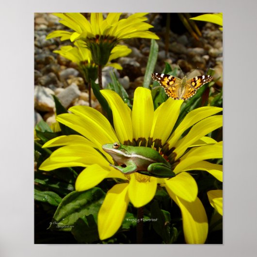 Froschschschmetterling-Blume Poster (Vorne)