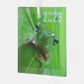 Froschschschmuck Ornament Aus Glas (Vorderseite links)