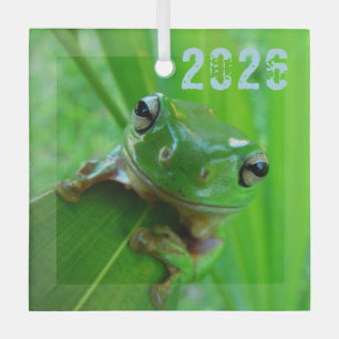 Froschschschmuck Ornament Aus Glas