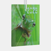 Froschschschmuck Ornament Aus Glas (Vorderseite Rechts)