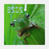 Froschschschmuck Ornament Aus Glas (Rückseite)