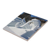 Froschskulptur, Quebec, Kanada Fliese (Seite)