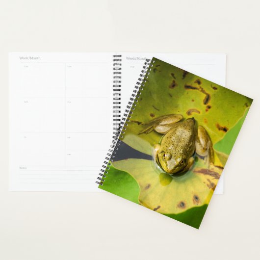 Froschspirale Wochen/Monatsplaner Planer (Anzeige)