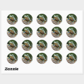Froschsticker Runder Aufkleber (Blatt)