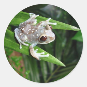 Froschsticker Runder Aufkleber