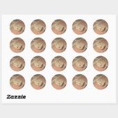Froschsticker Runder Aufkleber (Blatt)