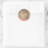 Froschsticker Runder Aufkleber (Tasche)