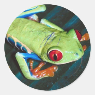 Froschsticker Runder Aufkleber