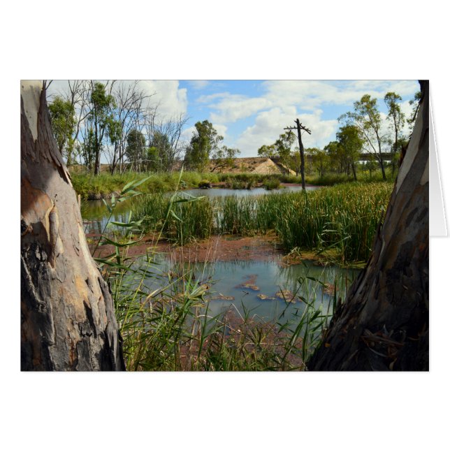 Froschsumpf-Paradies, (Vorderseite (Horizontal))