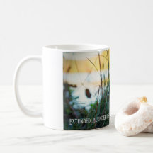 Froschtasse