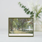 Froschteich, Boston Common um 1910 Vintage Postkarte (Stehend Vorderseite)