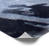 Froschtoad Tierfotografie Poster (Ecke)