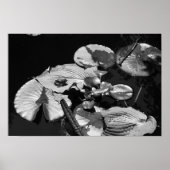 Froschwelt Poster (Vorne)