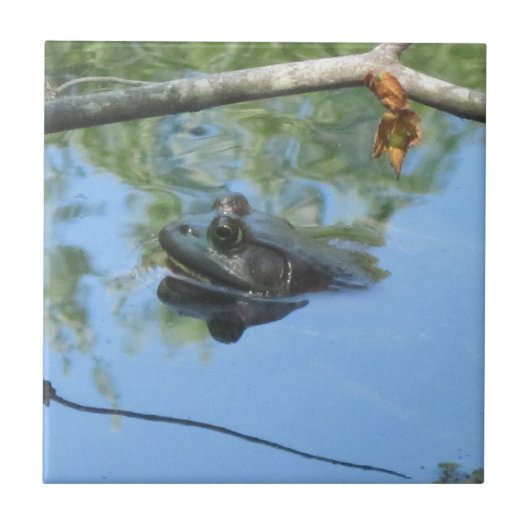 Froschzange Fliese (Vorderseite)