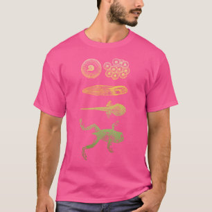 Froschzange Metamorphose Lebenszyklus Biologie T-Shirt