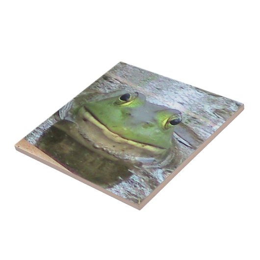 Froschzunge Fliese (Seite)
