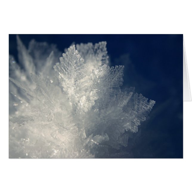 Frost (Vorderseite (Horizontal))
