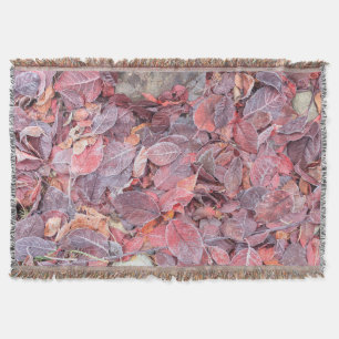 Frost auf abgefallenen Blättern, Herbstfarben, Mil Decke