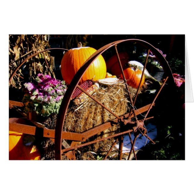 Frost auf dem Kürbis (Vorderseite (Horizontal))