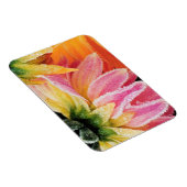 Frost auf den letzten Blüten des Sturzes - Dalhia  Magnet (Rechte Seite)