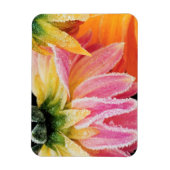 Frost auf den letzten Blüten des Sturzes - Dalhia  Magnet (Vertikal)