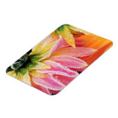 Frost auf den letzten Blüten des Sturzes - Dalhia  Magnet (Linke Seite)